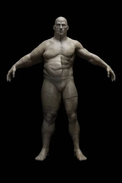 Yağ kaybı süreci. Yarı şişman yarı kaslı erkek figürü. Kilo kaybı, diyet ve egzersiz öncesi ve sonrası. Estetik ameliyat ve yağ aldırma. Formdan düşmüş. 3d illüstrasyon