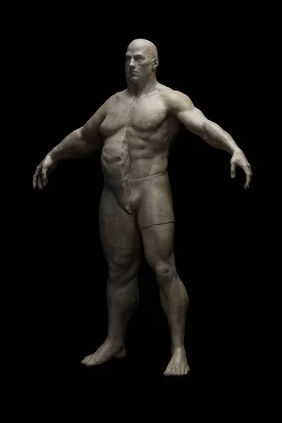 Yağ kaybı süreci. Yarı şişman yarı kaslı erkek figürü. Kilo kaybı, diyet ve egzersiz öncesi ve sonrası. Estetik ameliyat ve yağ aldırma. Formdan düşmüş. 3d illüstrasyon