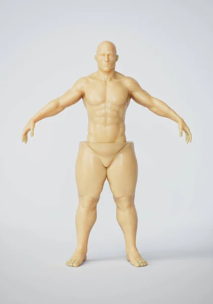 脂肪の損失プロセス 脂肪の半分の筋肉の男性の図を分割 体重減少の結果の前後に 食事と運動 整形手術と脂肪吸引 形がない 3Dイラスト — ストック写真