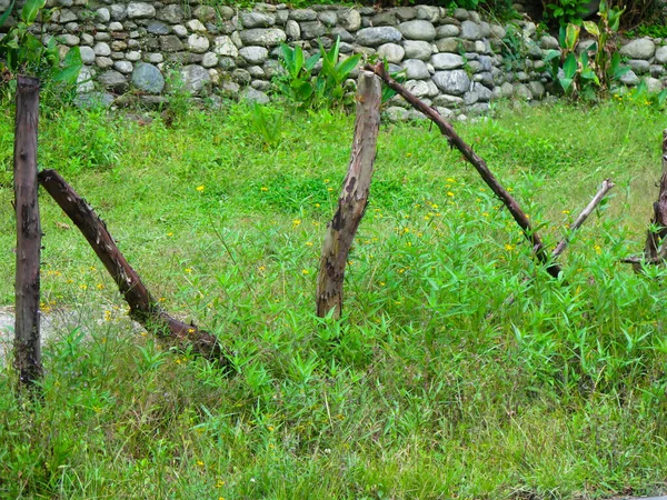 Troncos Viejos Colocados Hierba Con Pared Piedra Fondo —  Fotos de Stock