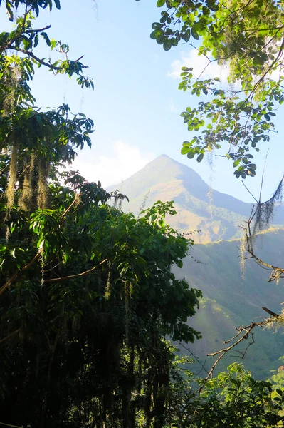 Vista Montanha Selva — Fotografia de Stock