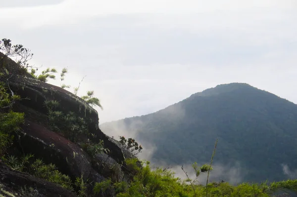 山顶上的苔藓 云朵环绕 — 图库照片