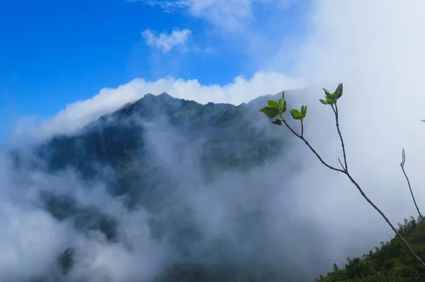 Vista Topo Montanha Acima Das Nuvens — Fotografia de Stock