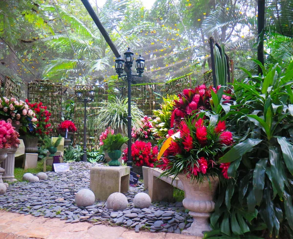 Výstava Exotických Květin Parku Přirozeným Osvětlením — Stock fotografie
