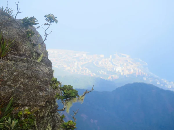 Vista Cidade Selva — Fotografia de Stock