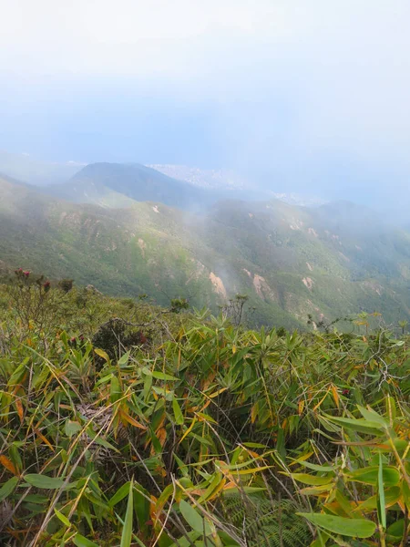 森林中的山景 — 图库照片