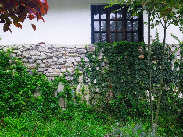 Внешняя Каменная Стена Зеленым Ползучим Черным Окном — стоковое фото