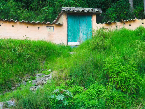 Μπροστινή Είσοδος Πράσινη Πόρτα Και Μονοπάτι Από Γρασίδι — Φωτογραφία Αρχείου