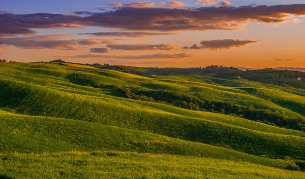 Зелёные Холмы Тосканы Оранжевым Небом Закате — стоковое фото