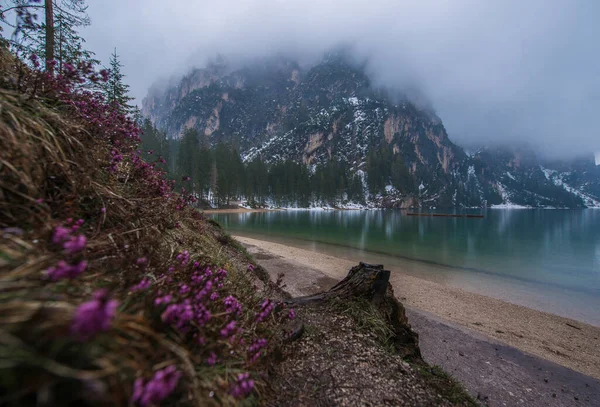 Bewölkter Himmel Mit Blauem Wassersee Schneeklippen Und Lila Blumen Pragser — Stockfoto