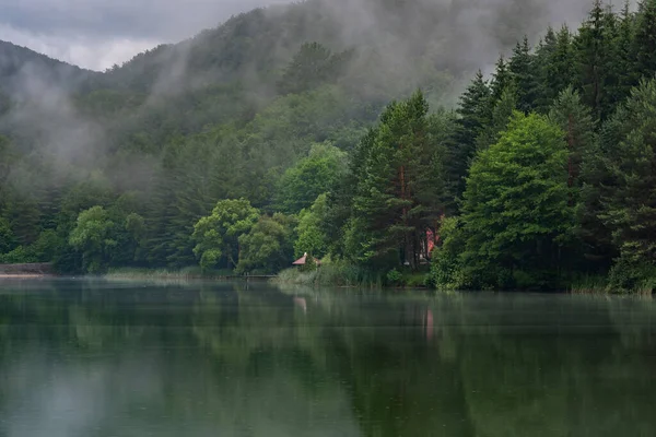 Grön Skog Speglas Sjö Dimma Vatten Och Träd Moln Och — Stockfoto