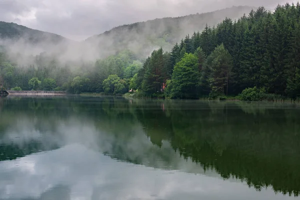 Green Forest Reflected Lake Mist Water Trees Clouds Storm Sky — Stock Photo, Image