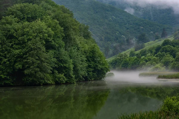 Grön Skog Speglas Sjö Dimma Morgonen Sommarbakgrund — Stockfoto