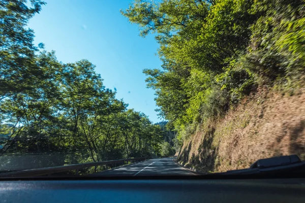 青空と木々の風景を背景に車からの写真 — ストック写真