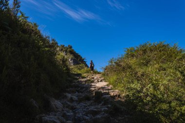 Güneşteki kayalık yolun sonundaki genç yürüyüşçü.
