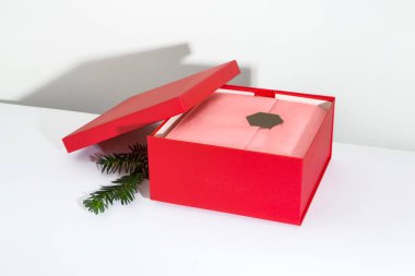 Çam yapraklı kutlamalar için kırmızı kutu