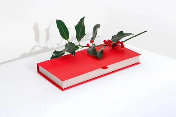 Κόκκινο Κουτί Χριστουγέννων Για Δώρα Και Giftcards Holly Λευκό Φόντο — Φωτογραφία Αρχείου
