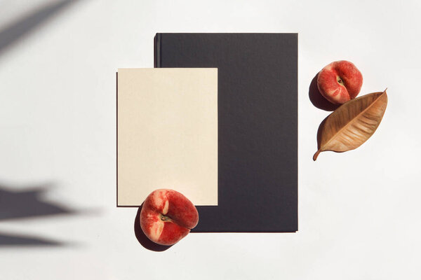 Личность набор белый бумажный черный папка персик и лист под летним солнцем с тенями на белом фоне
