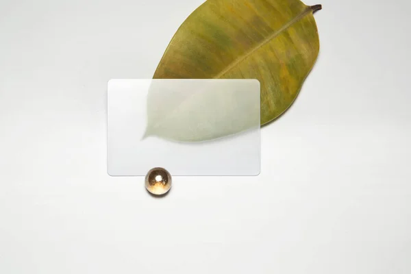 白い背景に大理石と葉が入った透明な名刺 — ストック写真