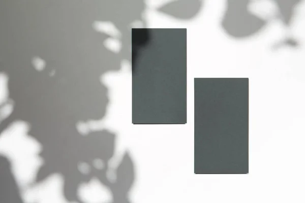 Дві Темно Сірі Візитки Рослинами Тіні Під Літнім Сонцем Тінями — стокове фото