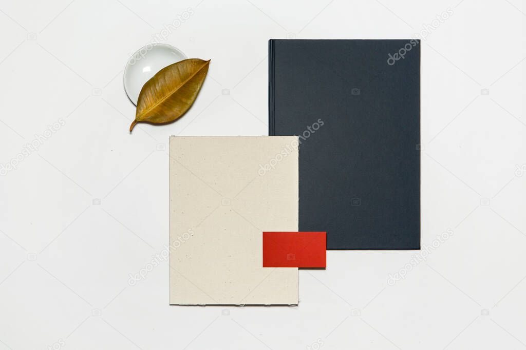 Identity set with leaf and lens on white background
