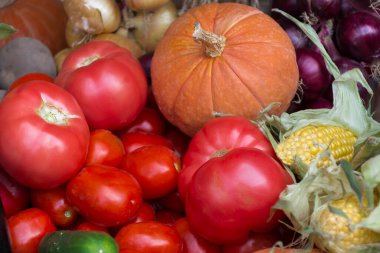 kabak, domates, mısır, patlıcan ve soğan tezgahta