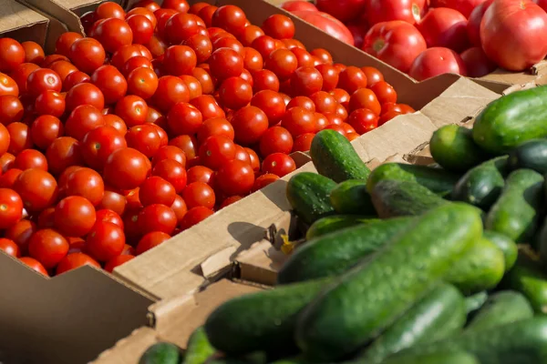 cucumbers and tomatoes in boxes on a fair counter