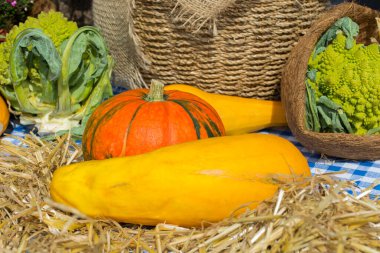 Büyük balkabağı ve kabak damalı kumaşın üzerine uzanır.