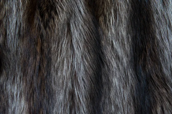 Expensive Natural Fur Long Pile — Stock Photo, Image