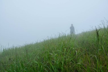 Bir adamın silueti kalın bir siste çözülür. Yükseklerdeki sislerin arasından yürü