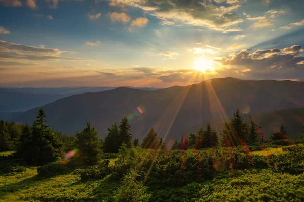 Gün batımında güzel bir dağ manzarası. Ön planda kozalaklı ağaçlar ve yabanmersini çalıları var. Güneş görkemli bir dağ sırasının ardında batıyor..