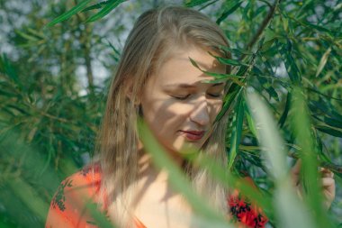 Sarışın kız, gün batımında yeşil çalılıklarda.