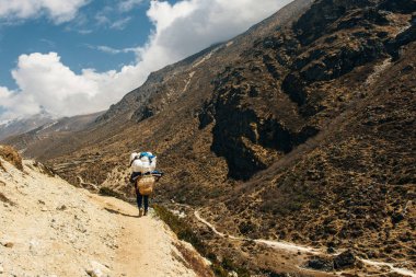 Porter ve Sherpa, Nepal 'deki Himalaya Dağları' nda büyük bavullarla yürüyorlar..