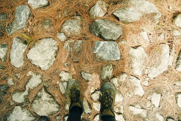 Skor ovanifrån av sten tallbanan i skogen — Stockfoto