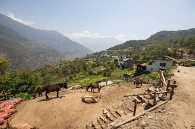 Nepal 'de güzel bir ev, Himalayalar' ın doğuşu