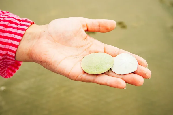 Saltade jordnötter i handen på kvinnors hand. — Stockfoto