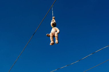 Sıcak ve güneşli bir yaz gününde elektrik kablolarında asılı duran tavşan.