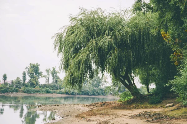 Zomer Vroege Herfst Park Met Vijver Rivier Treurwilg Bomen Aan — Stockfoto