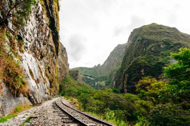 Machu Picchu köyünü hidroelektrik santraline bağlayan Urubamba nehri ve ormanı geçen tren yolu..