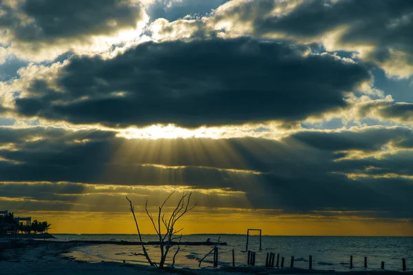 Holbox Insel Sonnenuntergang Strand Palme Tropischen Mexiko — Stockfoto