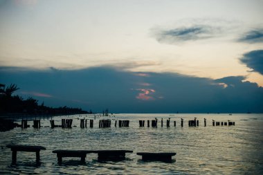 Holbox Adası gün batımı Meksika 'da tropikal plaj palmiyesi.