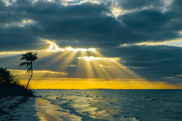 Wyspa Holbox Zachód Słońca Plaża Palma Drzewo Tropikalne Meksyku — Zdjęcie stockowe