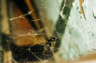 Eski evdeki ahşap arka plan duvarında örümcek ağı ya da örümcek ağı