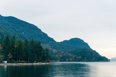 Howe Sound 'daki Horseshoe Körfezi' nin havadan panoramik görüntüsü. Batı Vancouver, İngiliz Kolombiyası, Kanada