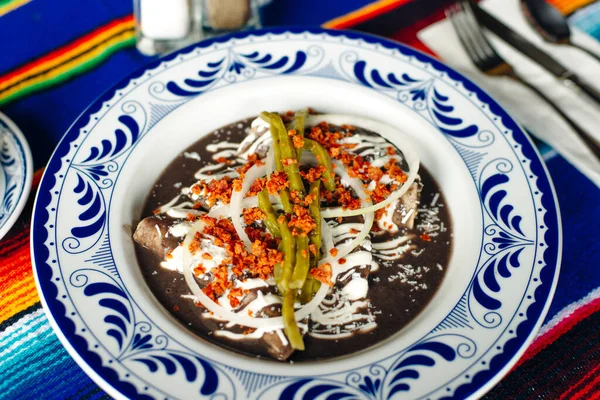 Köstebek Meksikalılar Poblano Köstebek Malzemeleri Meksika Geleneksel Baharatlı Yemekler — Stok fotoğraf