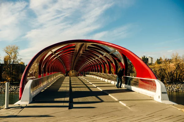 Peace Bridge Calgary Alberta Canada Sep 2019 — Φωτογραφία Αρχείου