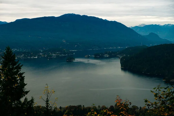 Hermoso Parque Cima Burnaby Mountain Con Vancouver City Fondo — Foto de Stock