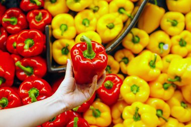 Bir süpermarketin tezgahında veya bakkalda bir yığın dolma biber organize edildi. Satılık yeşil, kırmızı, turuncu ve sarı dolma biber..