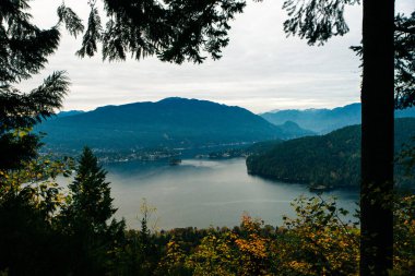 Burnaby Dağı 'nın tepesinde güzel bir park. Arka planda Vancouver City var.