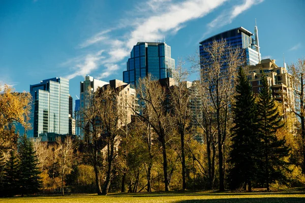 Moderne Ansicht Der Innenstadt Aus Der Nähe Des Parks Calgary — Stockfoto